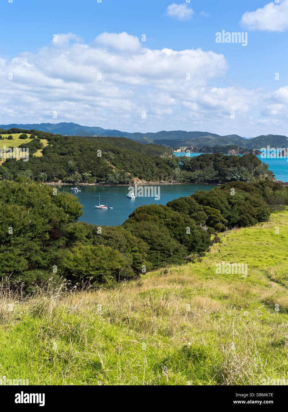 Dh Urupukapuka Island Bay of Islands NUOVA ZELANDA vista della baia delle isole e ancorato sailingboats e yacht barche Isola del nord Foto Stock