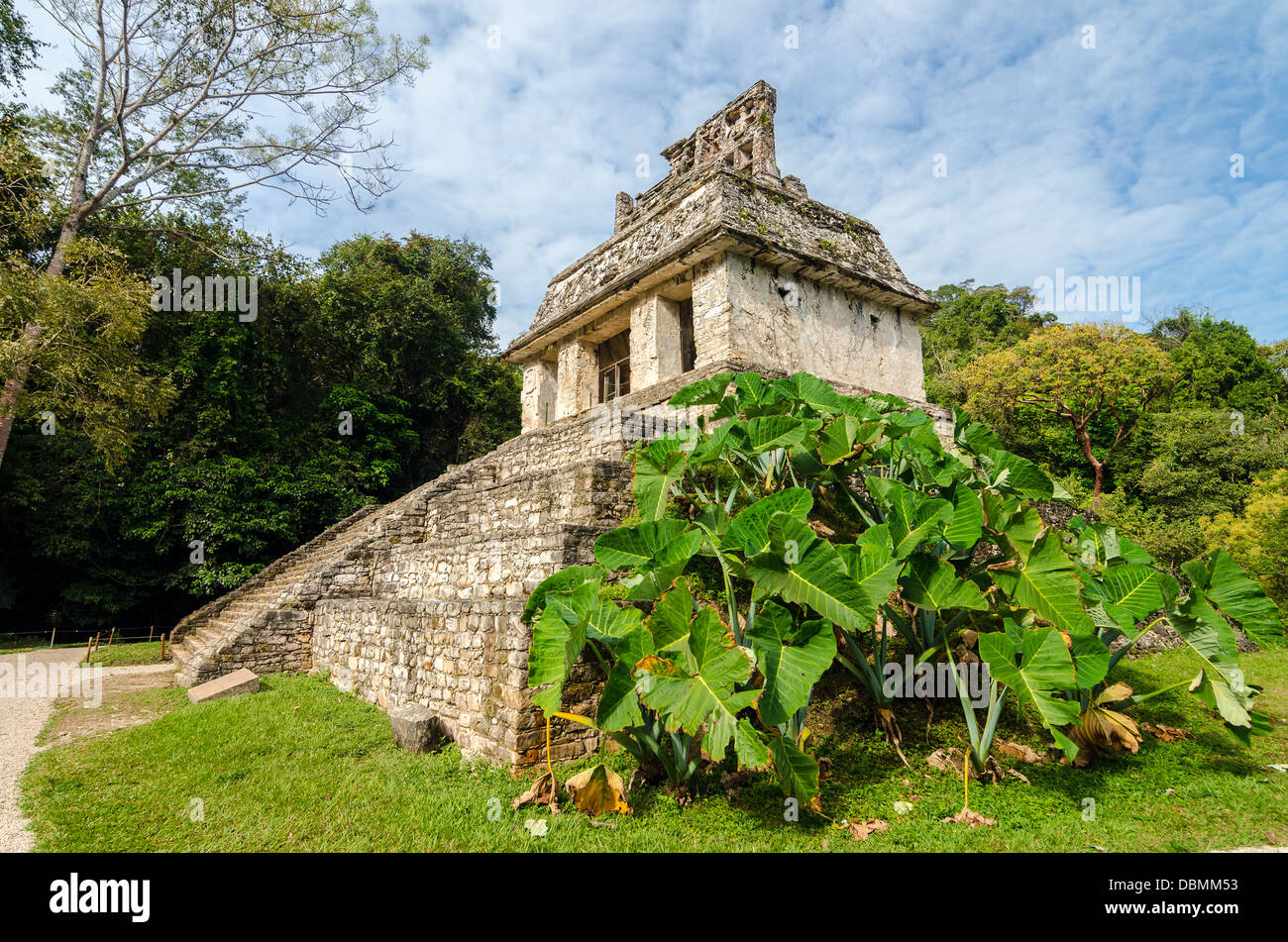 Antico tempio Maya e lussureggiante fogliame verde a Palenque in Chiapas, Messico Foto Stock