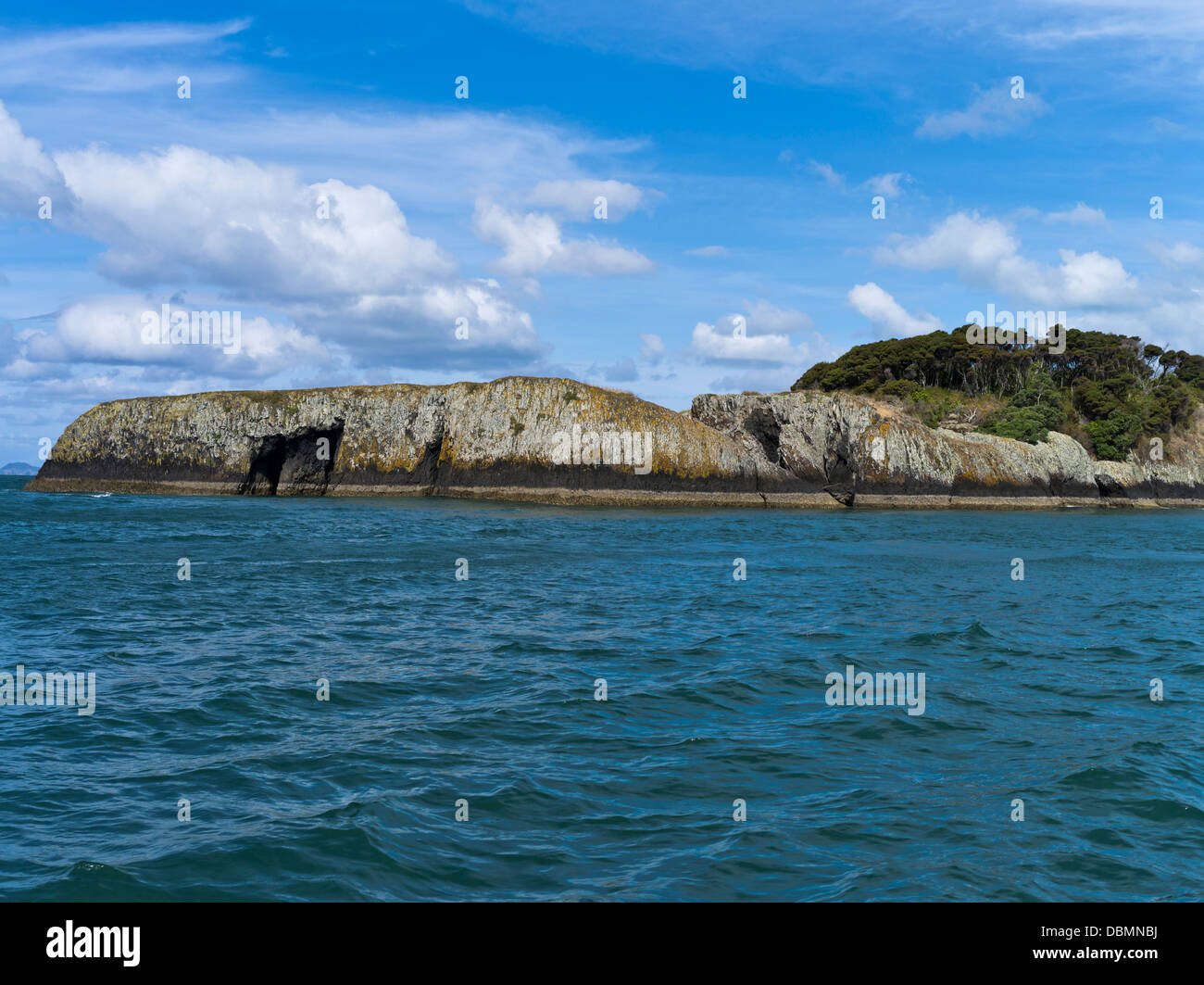 Dh Moturoa isola Baia delle Isole della Nuova Zelanda vulcaniche di rocce nere Foto Stock