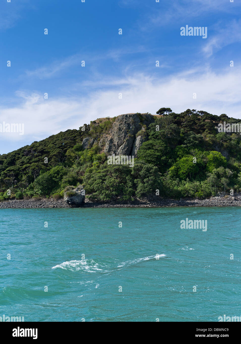 Dh Baia delle Isole della Nuova Zelanda di lava vulcanica plug Foto Stock