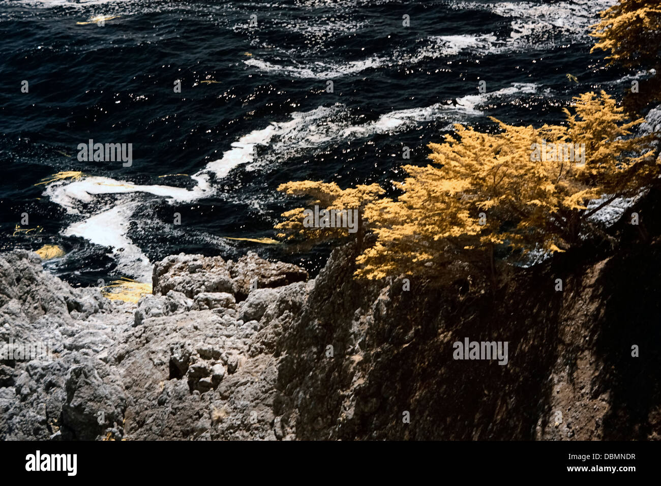 McWay cade a McWay Cove, Julia Pfeiffer Burns State Park, Big Sur, CALIFORNIA, STATI UNITI D'AMERICA Foto Stock