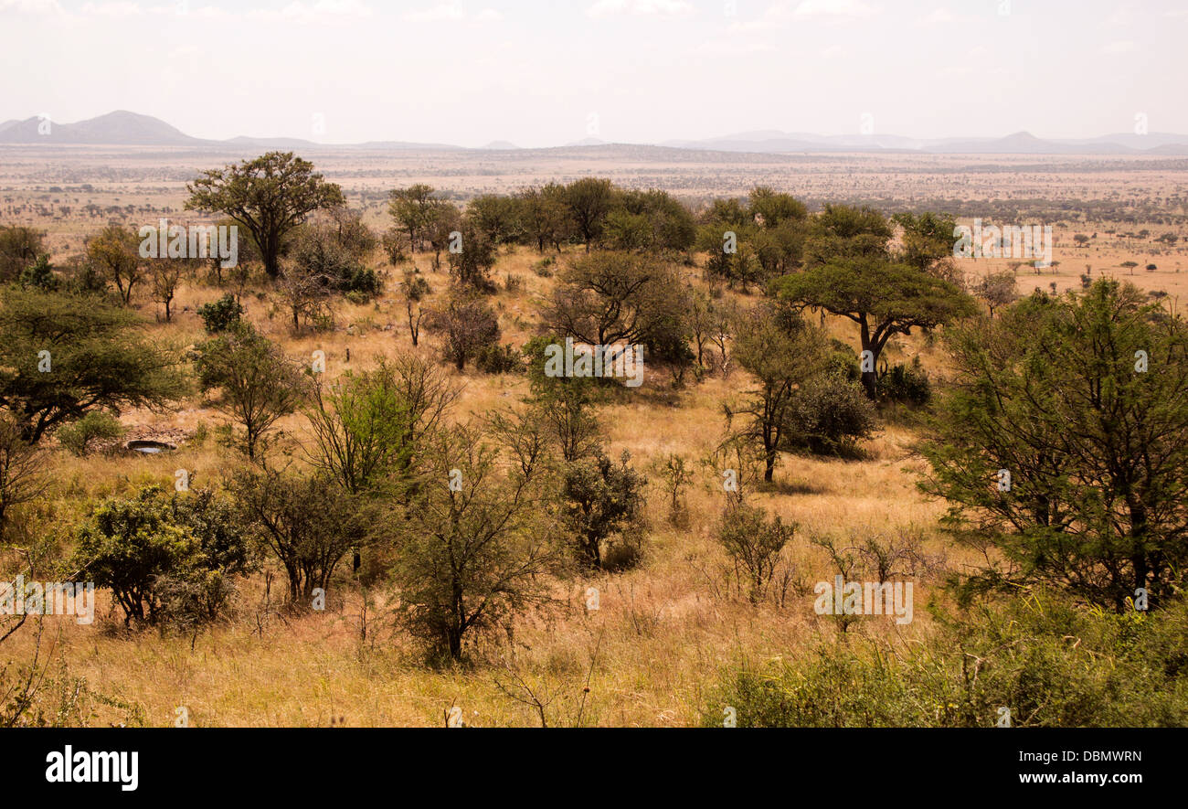 La vista dal balcone del Serengeti Sopa Lodge nel Parco Nazionale del Serengeti, Tanzania Africa Foto Stock