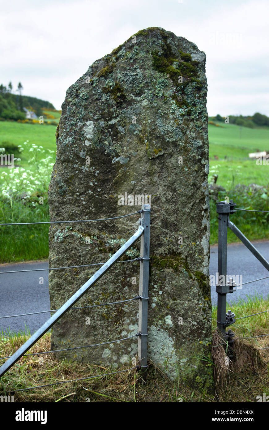 Una delle pietre permanente presso il Cairns di clava vicino a Inverness Scozia Scotland Foto Stock