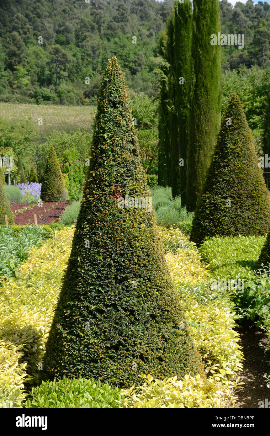 Giardini Topiari Con Alberi A Forma Di Cono Di Yew E Cipressi Alberi Château Val Joannis Pertuis Luberon Provenza Francia Foto Stock