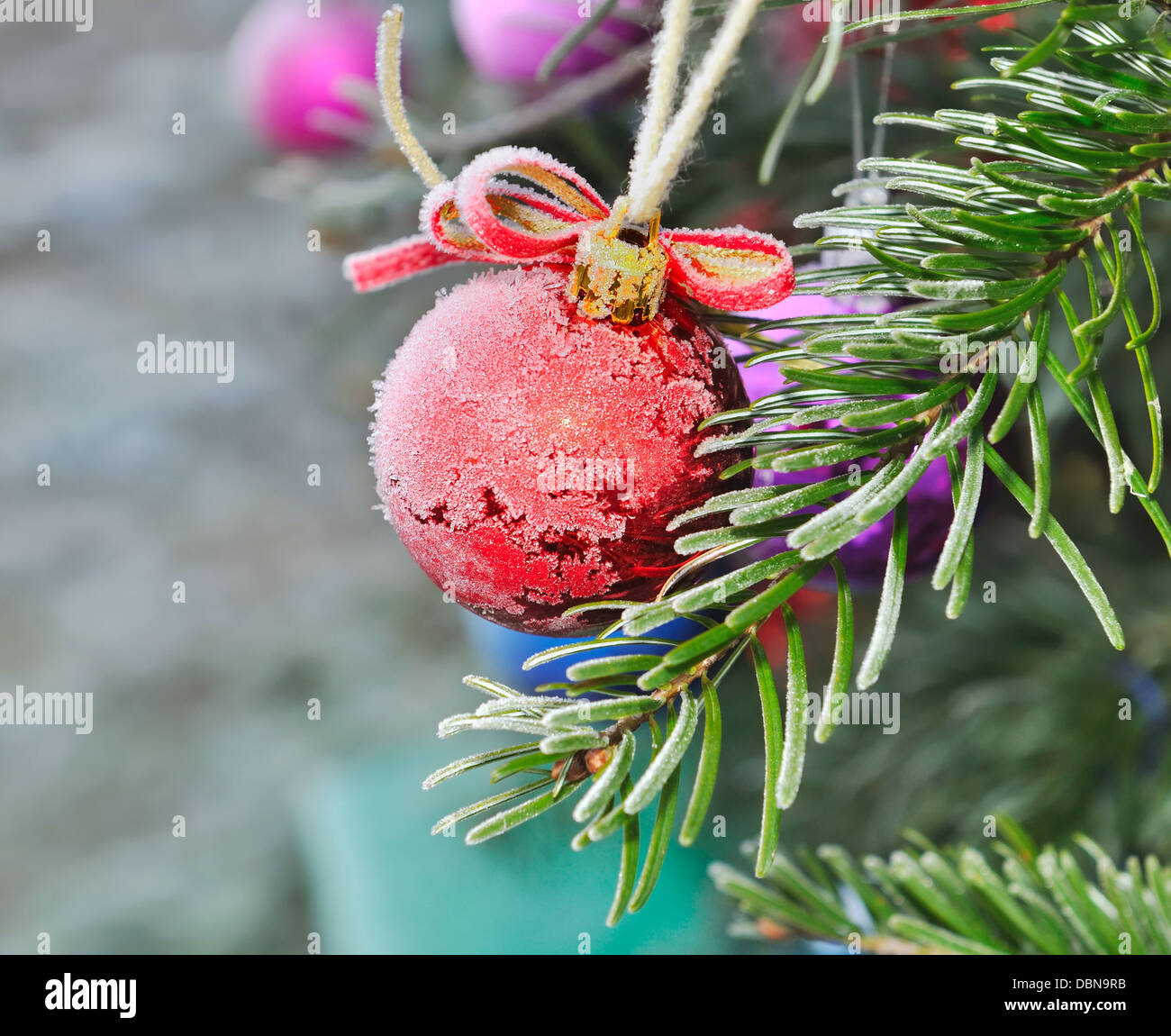 Pallina di natale coperto di brina su un abete Foto Stock