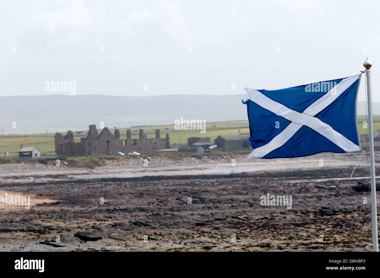 Una bandiera scozzese volando sulle isole Orcadi con le rovine del Palazzo Ducale a Birsay in background Foto Stock