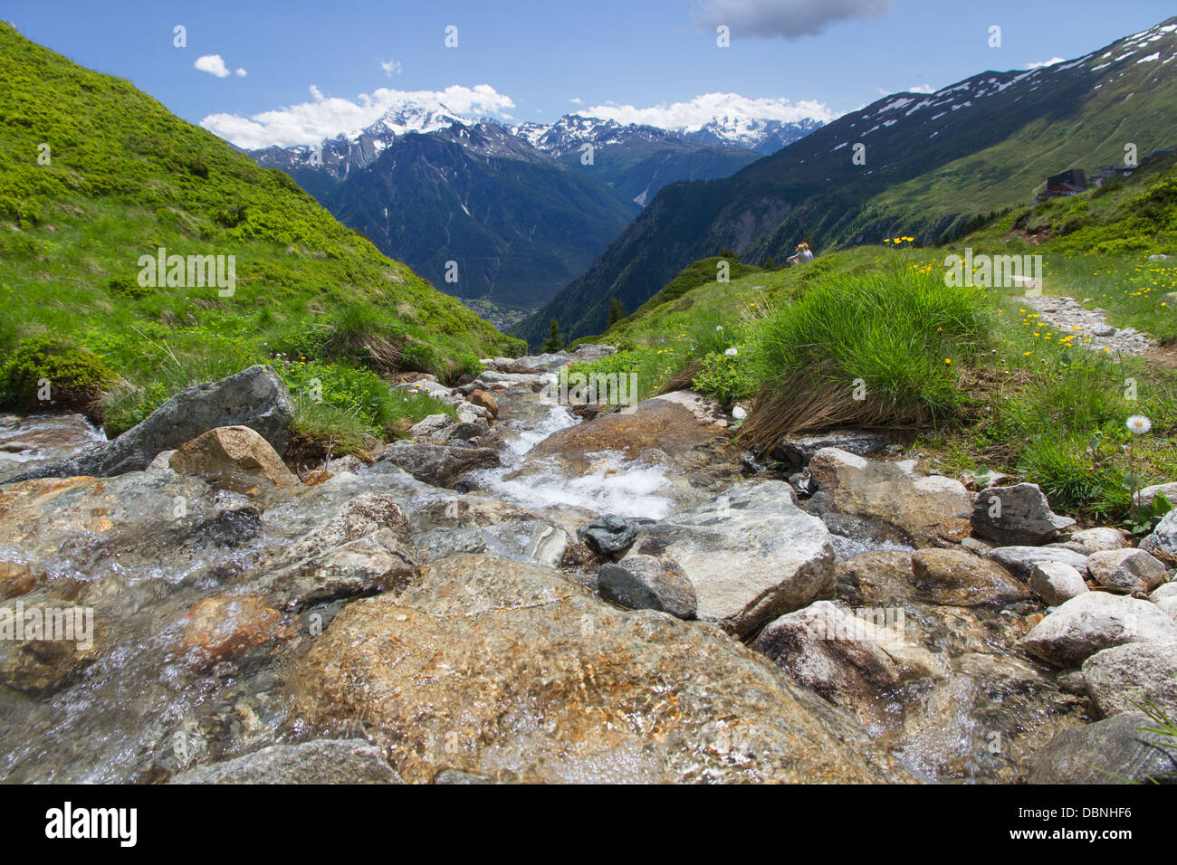 Flusso di alpini in esecuzione su rocce e verso il basso in una pittoresca valle svizzera Foto Stock