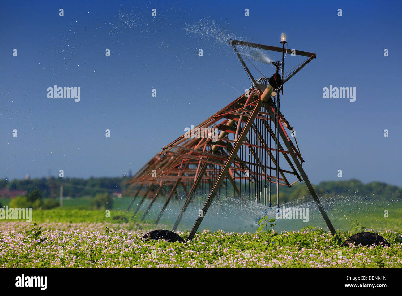 Irrigazione impianto sprinkler nel campo, Croazia e Slavonia, Europa Foto Stock