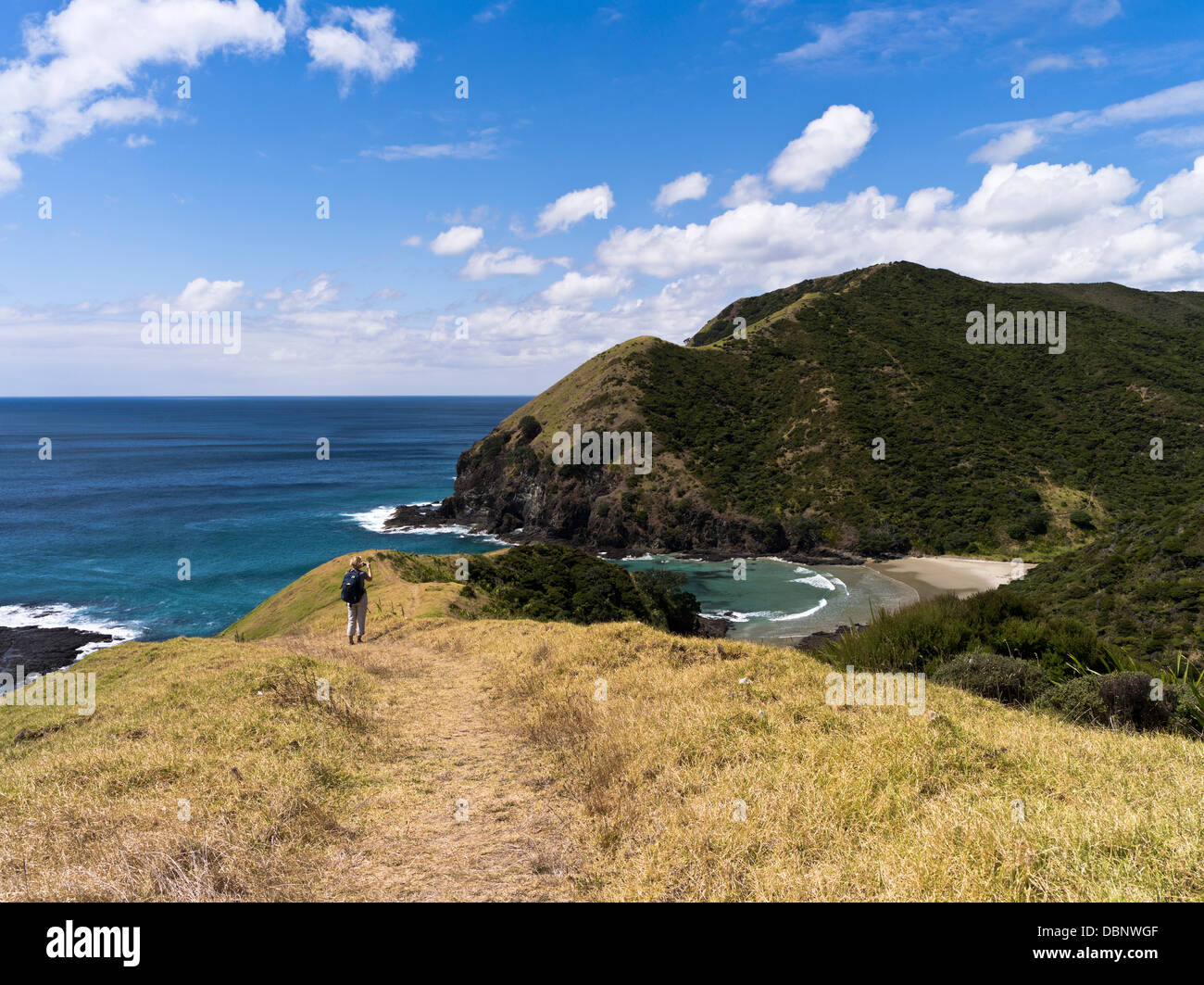 dh Aupouri Peninsula costa CAPO REINGA NUOVA ZELANDA Donna turistica a piedi sentiero Seacliffs sentiero panoramico escursionismo persone sentiero escursionistico Foto Stock