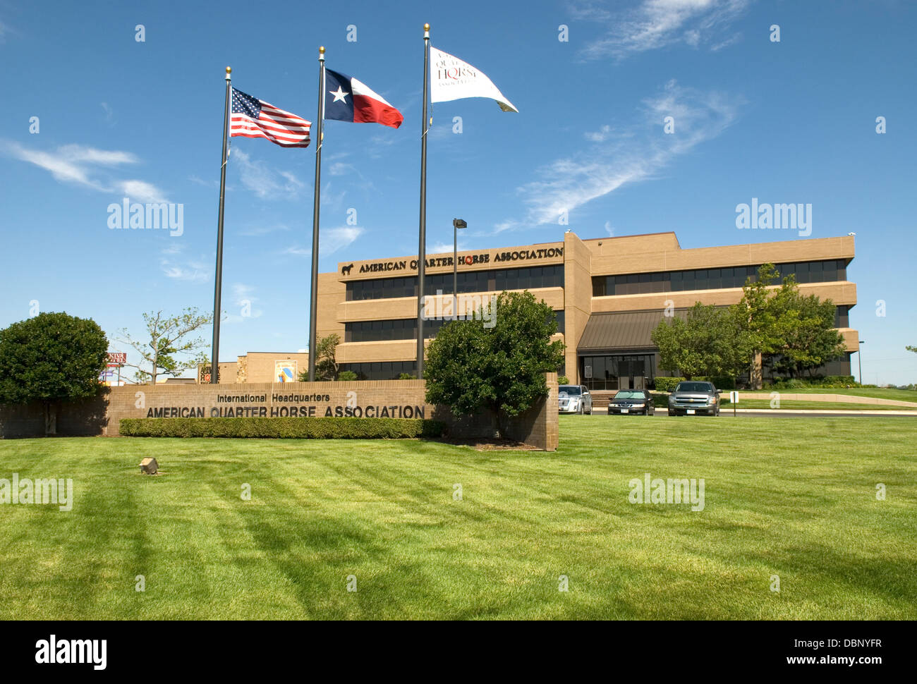 American Quarter Horse Association Amarillo Texas USA Foto Stock