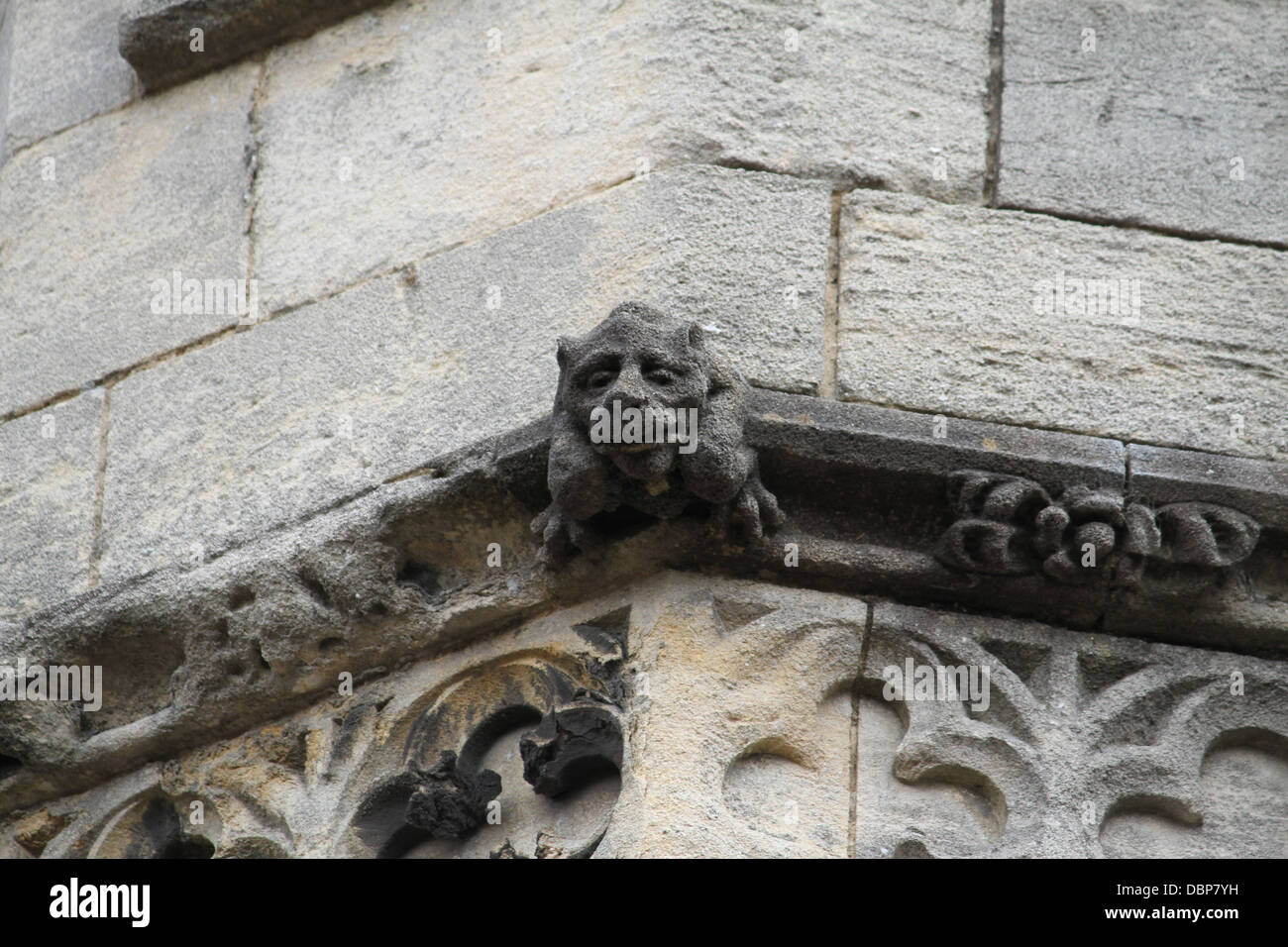 Cattedrale Gotica - Gargoyle Foto Stock
