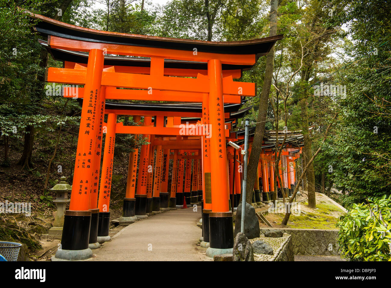 Le infinite Cancelli Rossi (torii) di Kyoto Fushimi Inari Shrine, Kyoto, Giappone, Asia Foto Stock