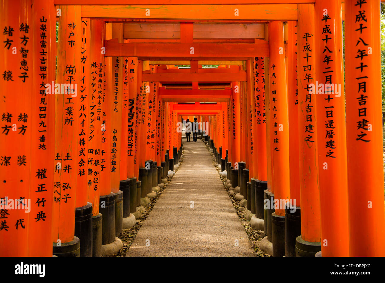 Le infinite Cancelli Rossi (torii) di Kyoto Fushimi Inari Shrine, Kyoto, Giappone, Asia Foto Stock