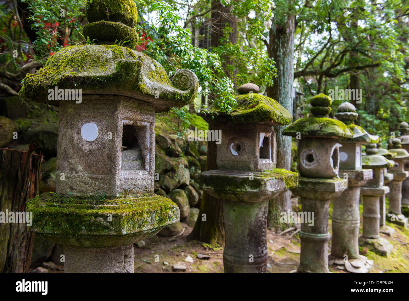 Lanterne di pietra, Nara, Kansai, Giappone, Asia Foto Stock