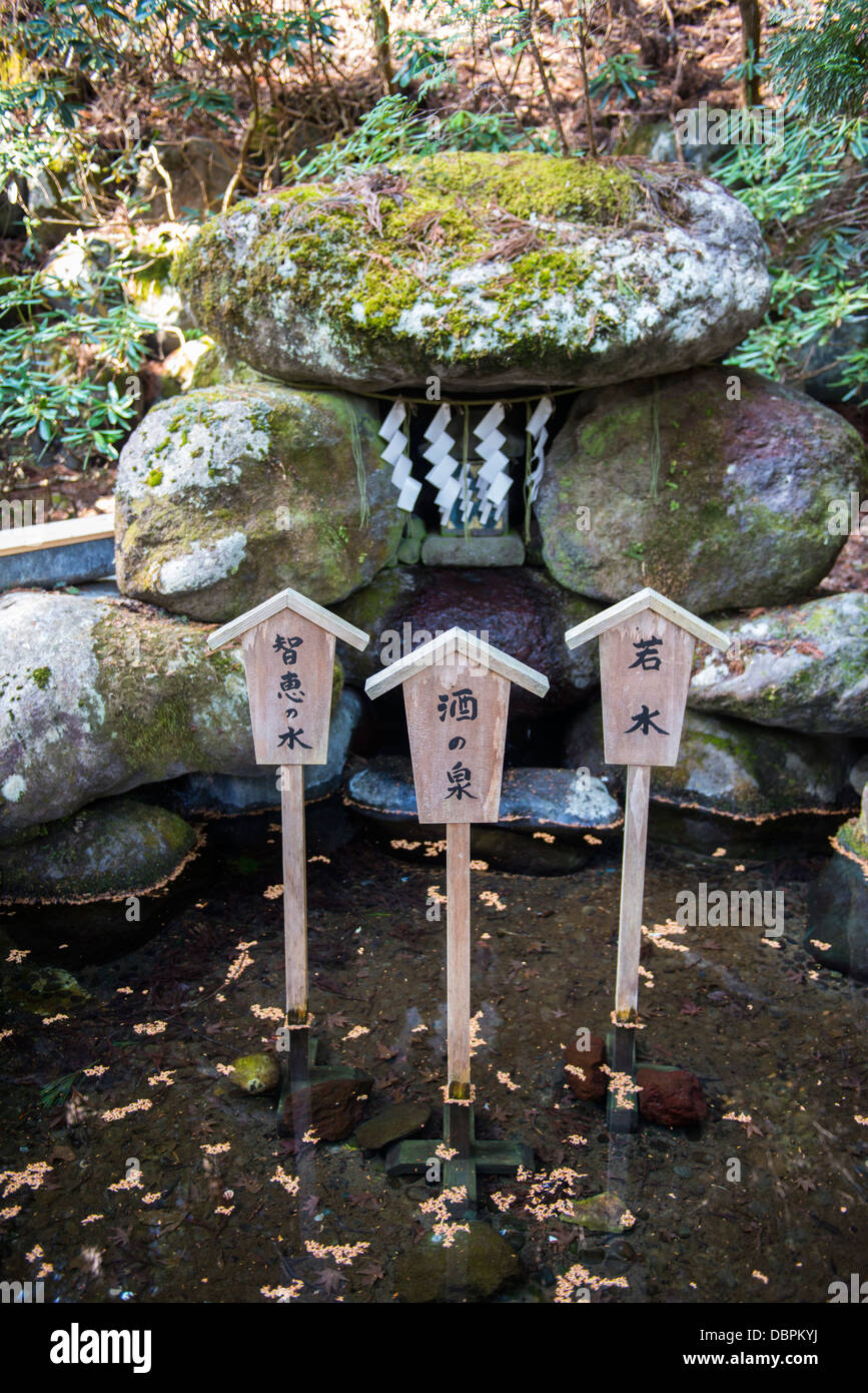 Cartello in legno, Santuario Futarasan, Sito Patrimonio Mondiale dell'UNESCO, Nikko, Kanto, Giappone, Asia Foto Stock