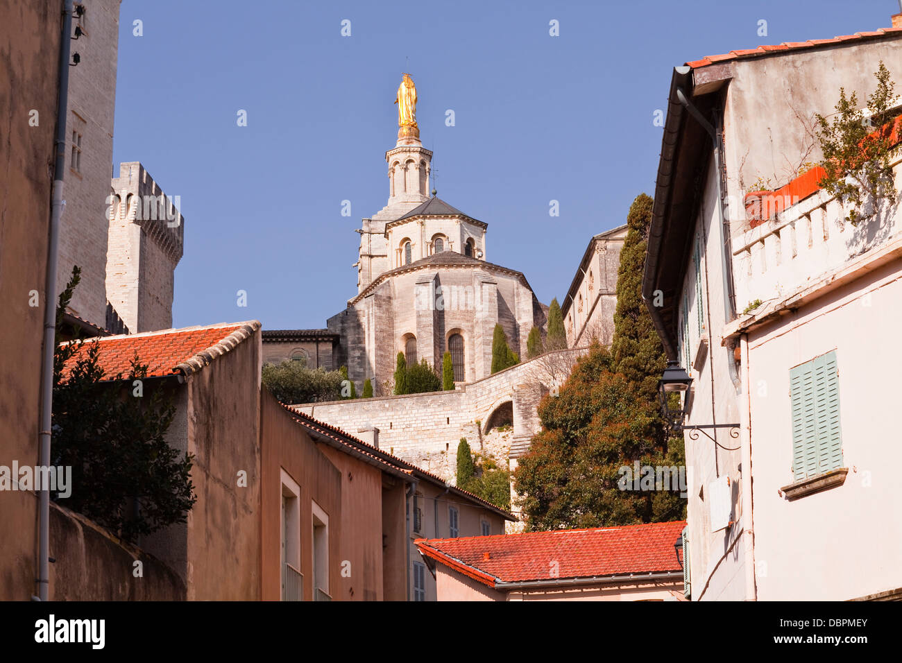 Notre Dame des Doms d'Avignon cattedrale da piccole strade della città di Avignone, Vaucluse Francia, Europa Foto Stock
