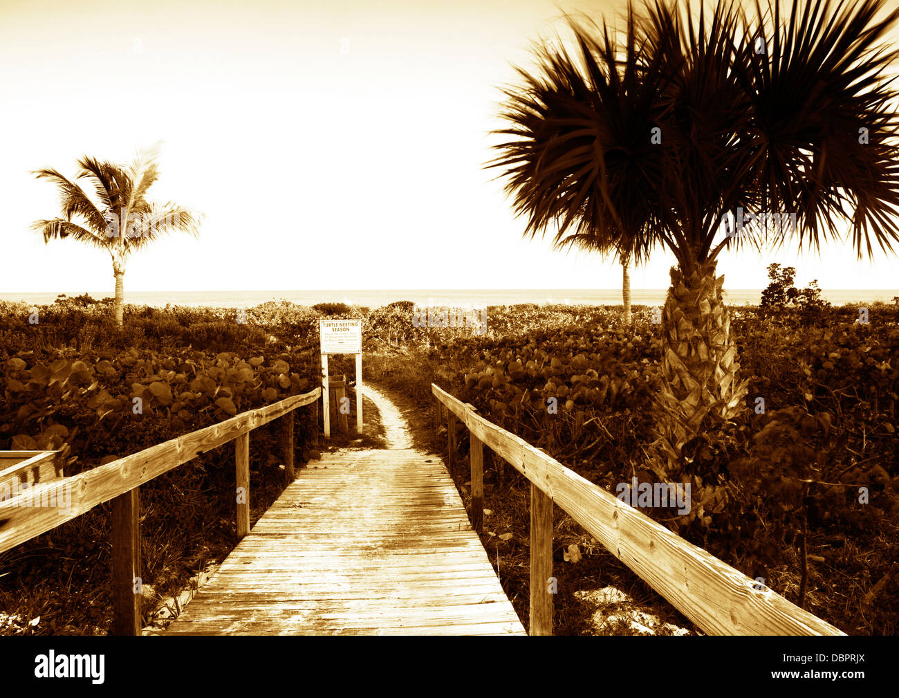 Passeggiata sulla spiaggia, Sanibel Island, Florida Foto Stock