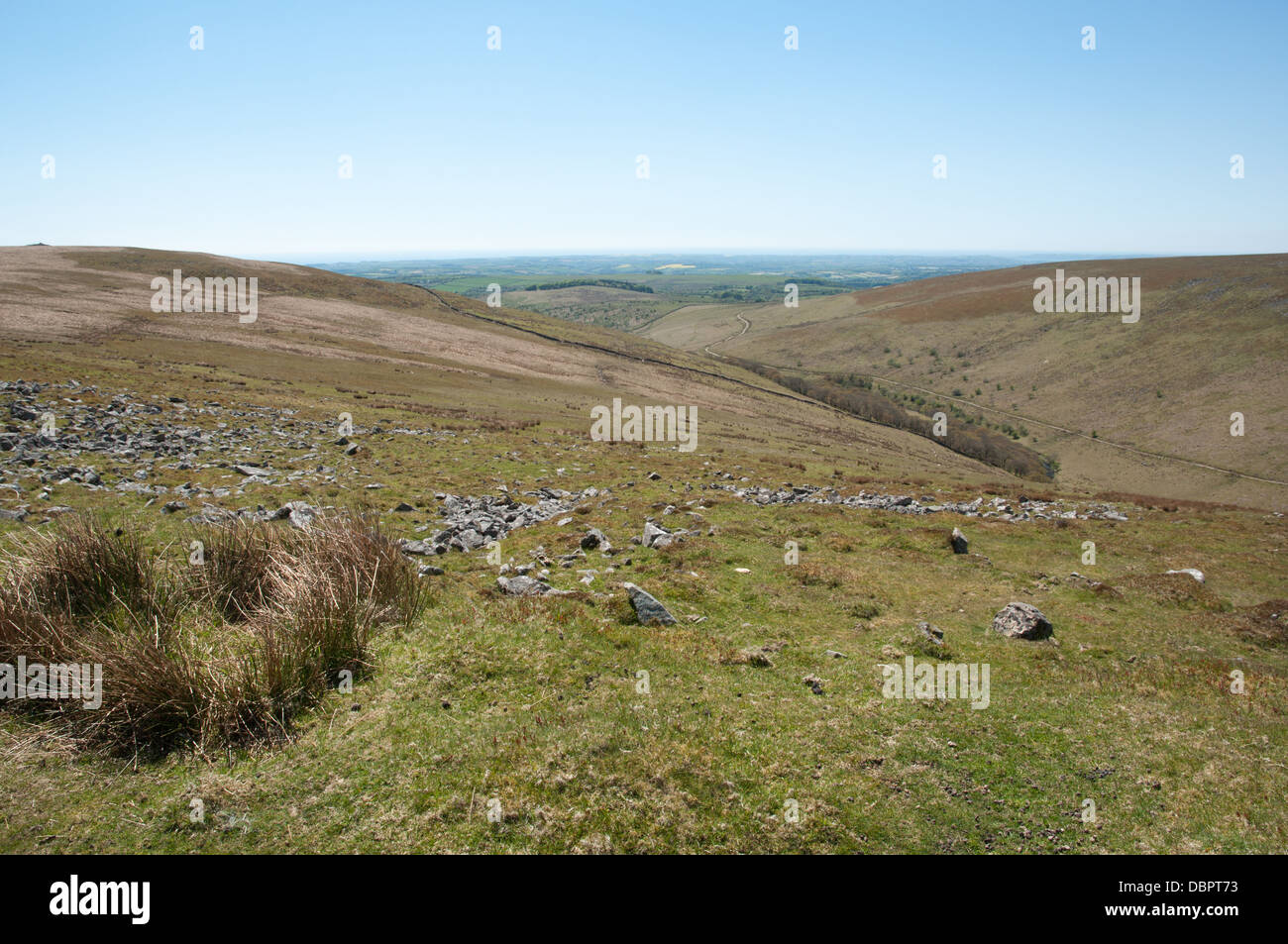 Vista sul Fiume Erme e pile Copse su Dartmoor Foto Stock