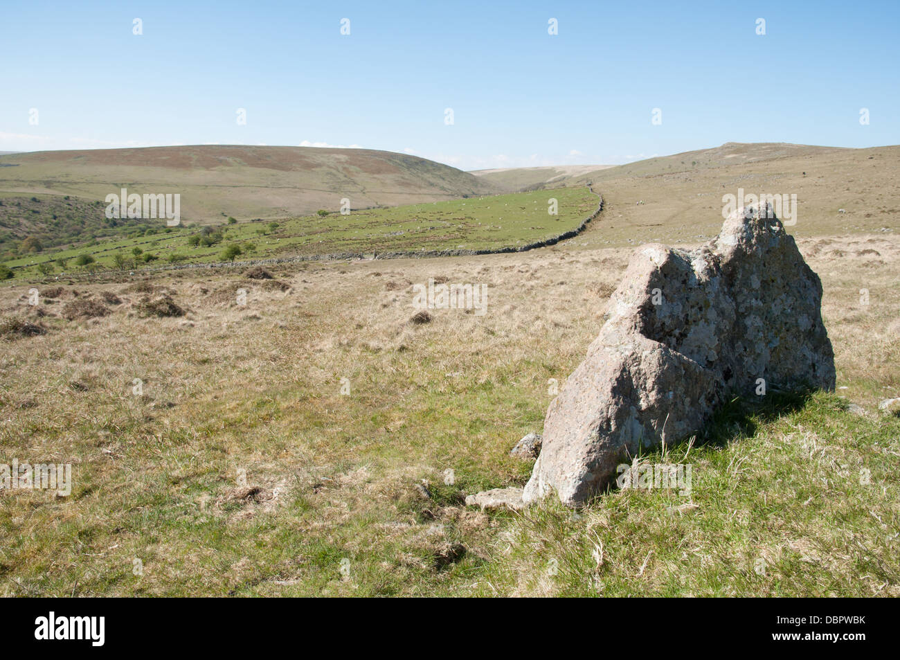 Grande pietra sul confine del luogo di sepoltura camera cist esterna su Dartmoor. Stalldown e Sharp Tor in distanza. Foto Stock
