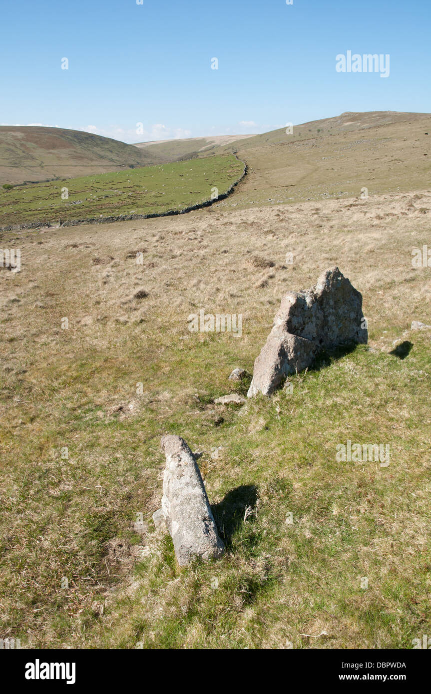 Grande pietra sul confine del luogo di sepoltura camera cist esterna su Dartmoor. Stalldown e Sharp Tor in distanza. Foto Stock