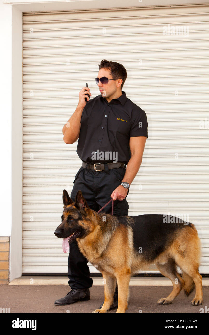 La guardia di sicurezza cane patrol verificando un magazzino o industriali edificio per uffici Foto Stock