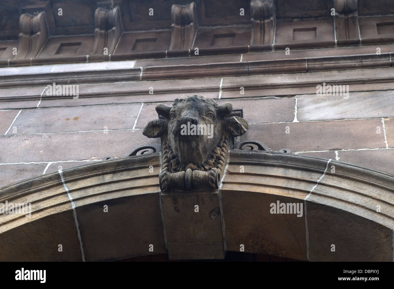 Dettaglio di una testa di animale incisioni sul mercato vittoriano edificio in Inverness Scozia Scotland Foto Stock