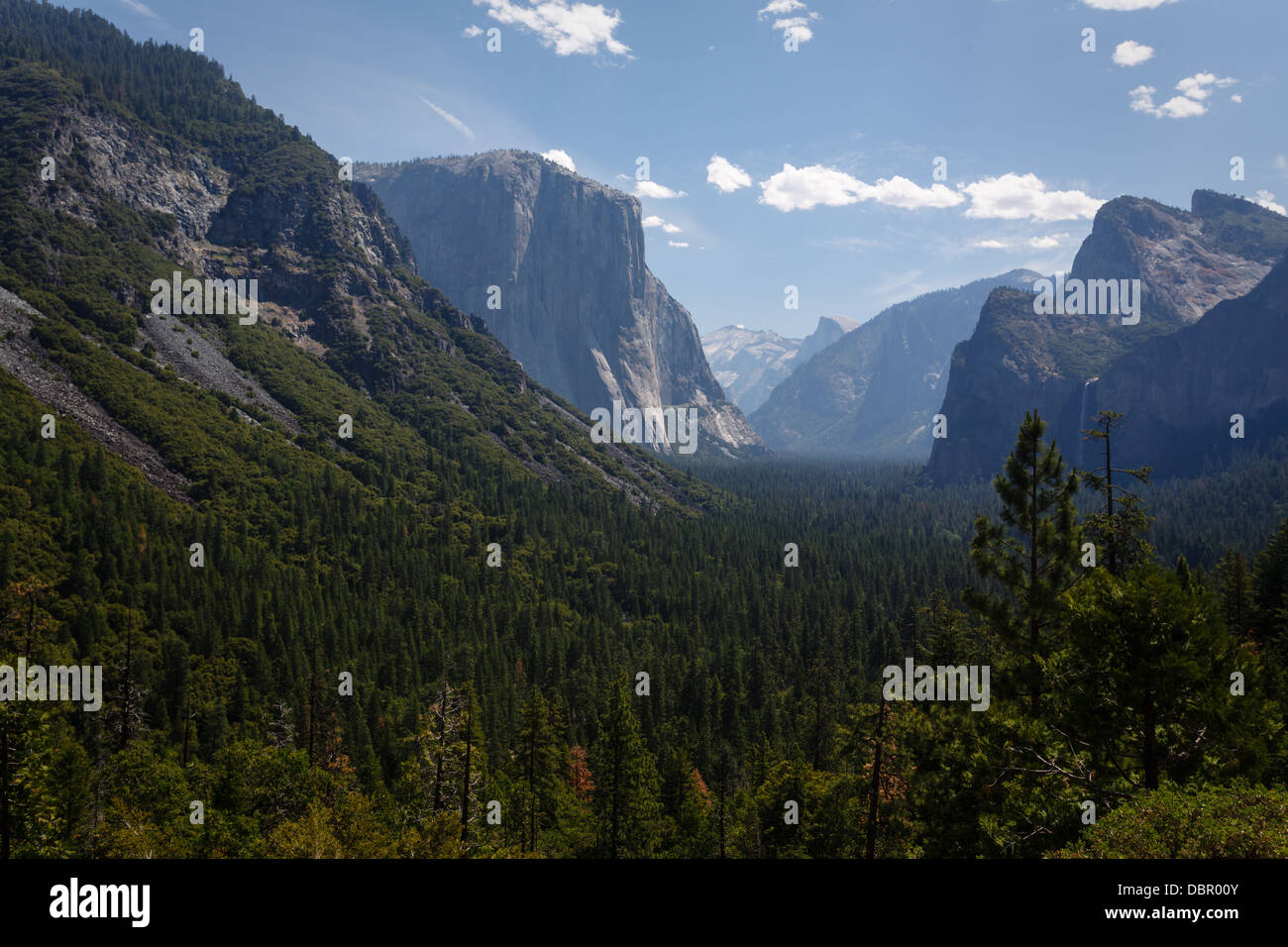 Terreno subalpino prati e alte montagne di granito del parco nazionale di Yosemite Foto Stock