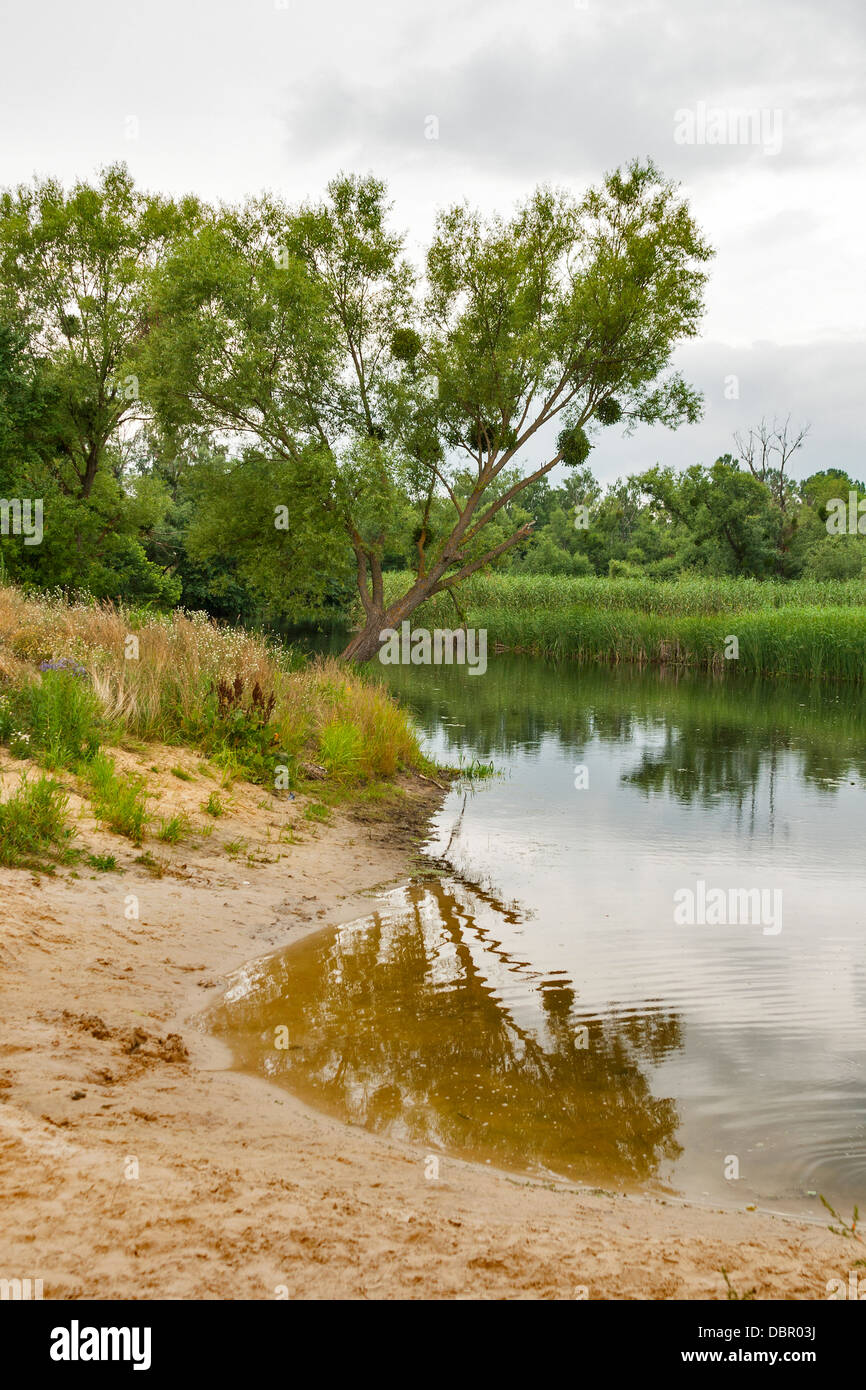 Riverbank ad estate giorno nuvoloso. fiume Ros, Ucraina Foto Stock