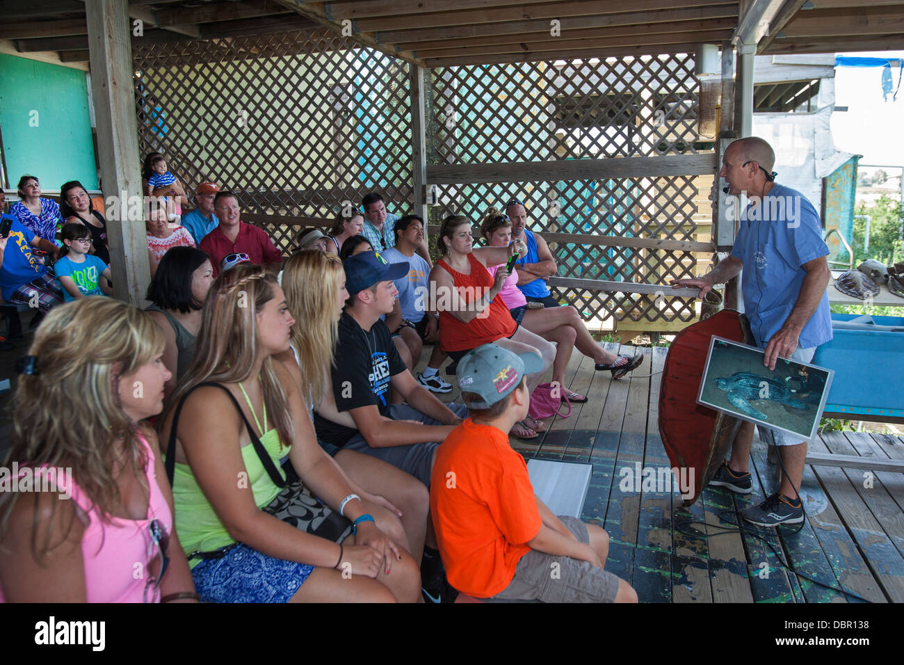 Sea Turtle Rescue Center Foto Stock