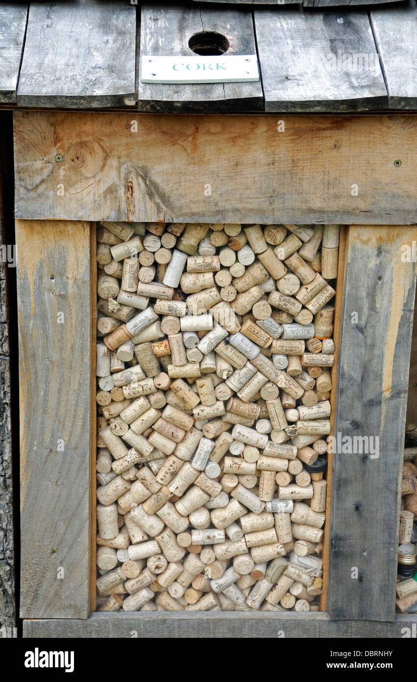 Riciclaggio di sughero box - scatola boscose piene di riciclo tappi vino  Inghilterra, Regno Unito Foto stock - Alamy