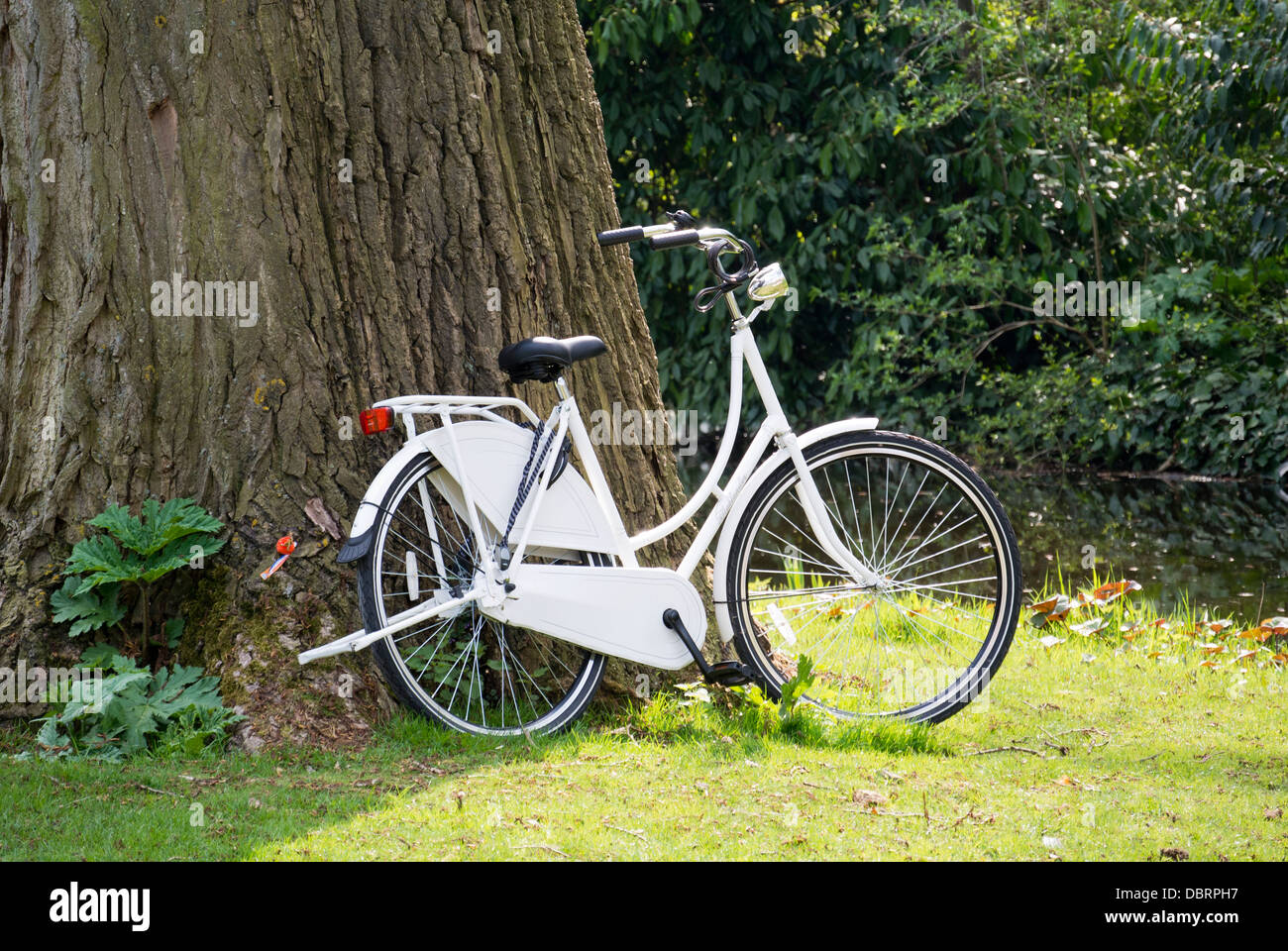 Biciclette per i parchi di Amsterdam Foto Stock