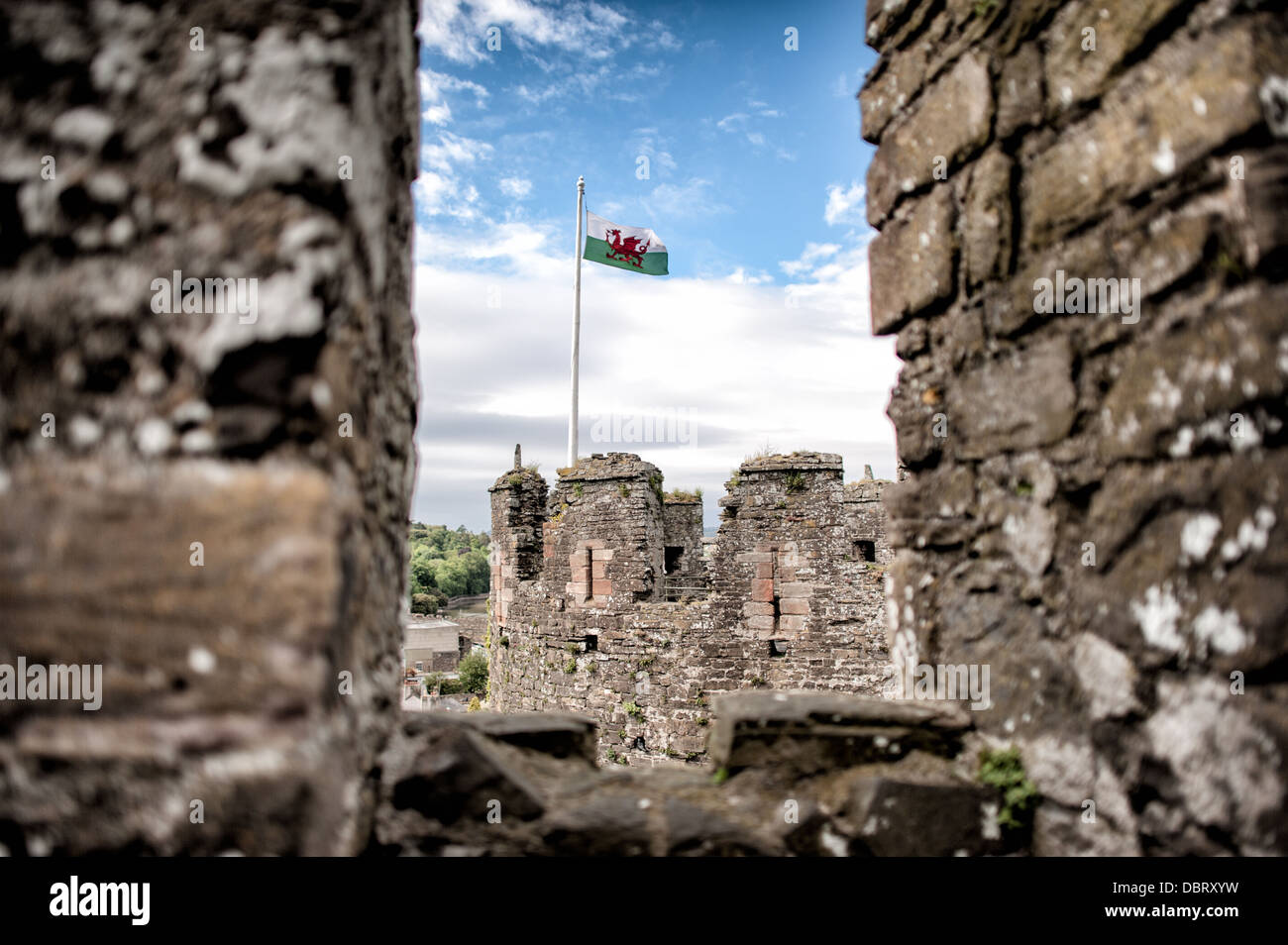 CONWY, Galles: La vista attraverso le merlature del castello di Conwy, una fortezza medievale del XIII secolo nel Galles del Nord. Le pietre merlate incorniciano il paesaggio circostante, dimostrando il design difensivo strategico di questo sito patrimonio dell'umanità dell'UNESCO. Costruito tra il 1283 e il 1287 durante la conquista del Galles da parte di Edoardo i, il castello fu progettato da Giacomo di San Giorgio come parte dell'"anello di ferro" delle fortificazioni del re. I bastioni fornivano protezione sia ai difensori che alle vedute dominanti dell'area circostante e dell'estuario di Conwy. Il castello di Conwy è ampiamente considerato uno dei migliori esempi Foto Stock