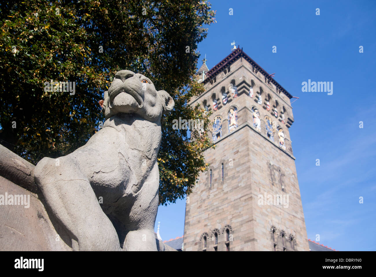 Il Castello di Cardiff parete animale e la Torre dell Orologio Cardiff South Wales UK Foto Stock
