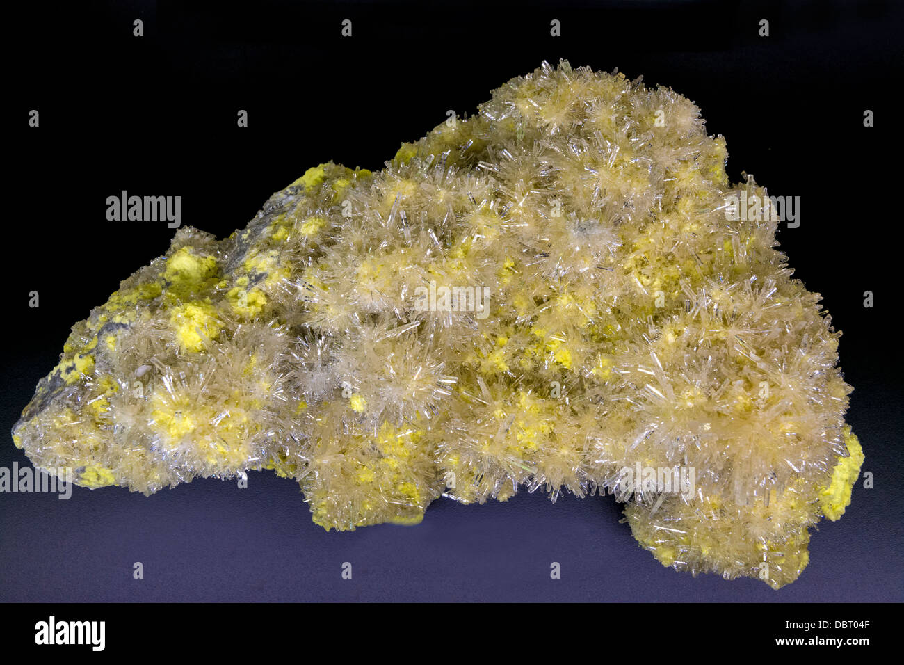 Bel colore giallo campione minerale Foto Stock