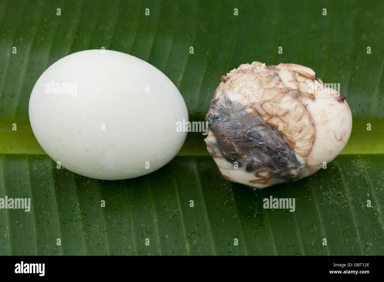 Una completamente balut sgusciate, o fecondate Duck egg, raffigurato accanto ad un intero uno in Oriental Mindoro, Filippine. Foto Stock