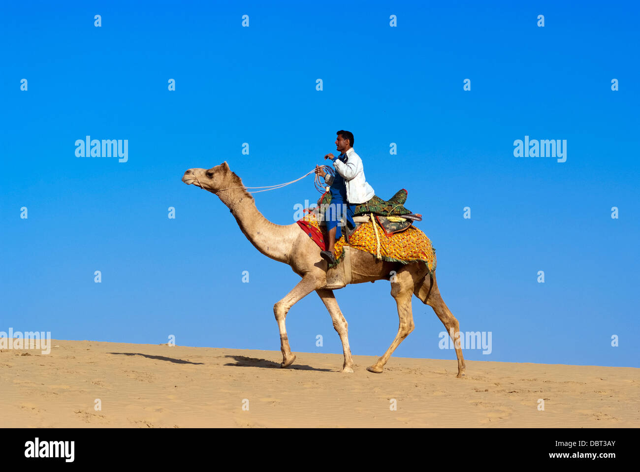 Cameleer al Sam Dune di sabbia in Jaisalmer, India. Foto Stock