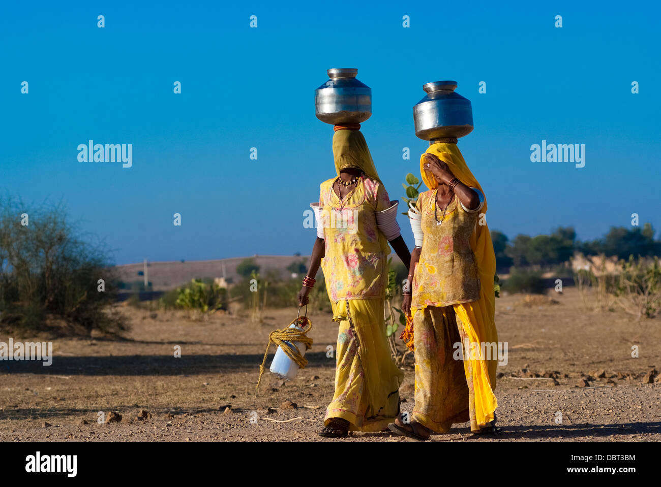 Aletta di donne una pentola di acqua sul loro capo il 27 febbraio 2013 in Rajasthan, India, a causa della mancanza di acqua convogliata nella zona. Foto Stock