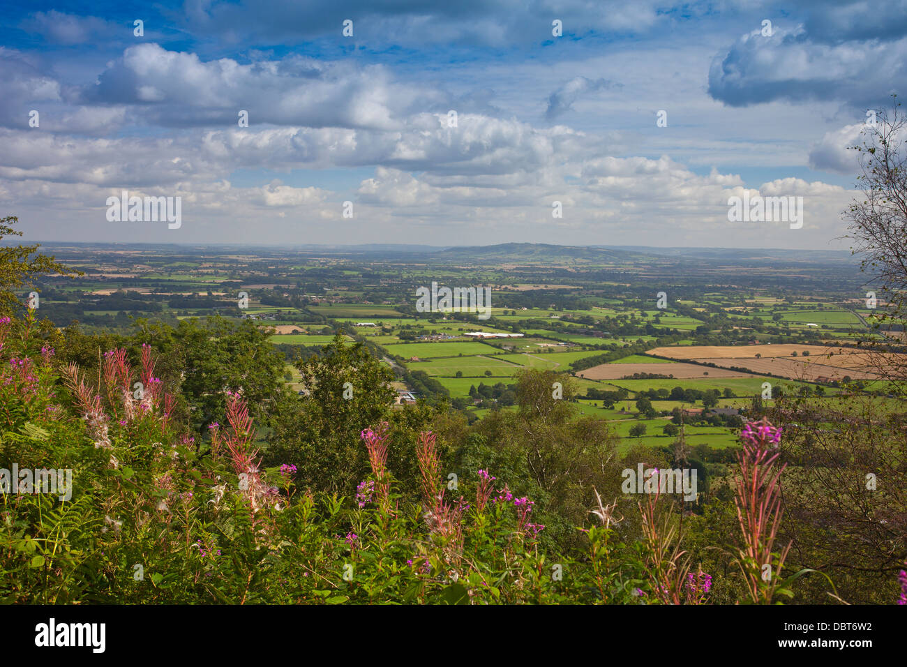 Guardando ad est verso il Cotswolds dal Giubileo Hill nelle colline di Malvern, Worcestershire, England, Regno Unito Foto Stock