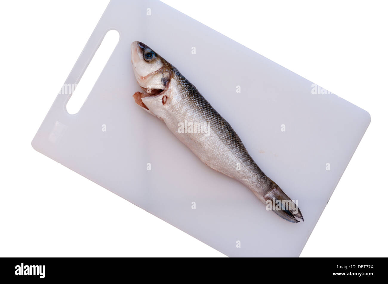 Mare Fresco Bass in filetti di pesce Foto Stock