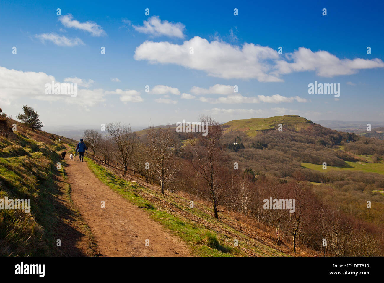 Un dog walker capi a sud verso Herefordshire Beacon in The Malvern Hills, Herefordshire, England, Regno Unito Foto Stock