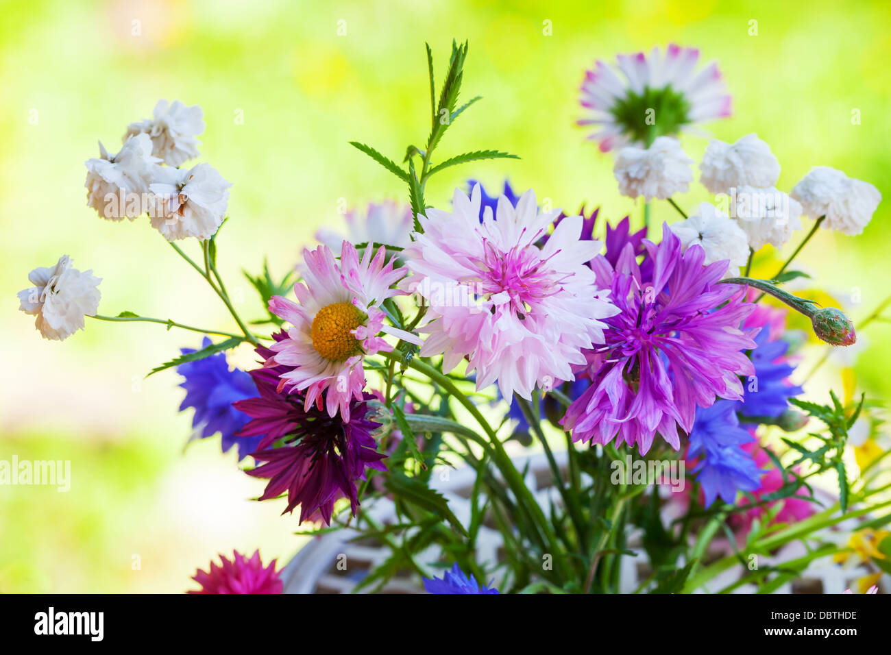 Estate colorati bouquet di fiori sotto il sole Foto Stock