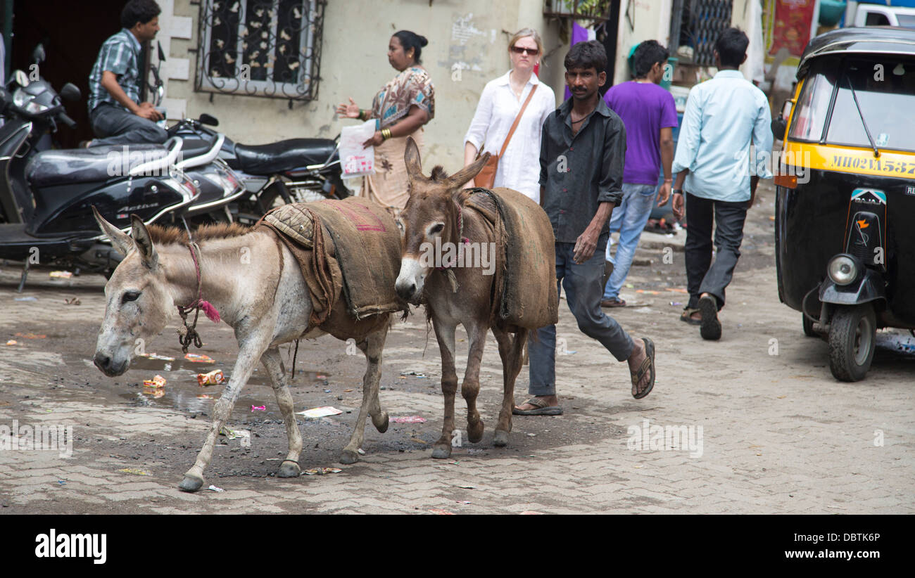 Uomo con due asini in villaggio in Mumbai il vecchio stile Foto Stock