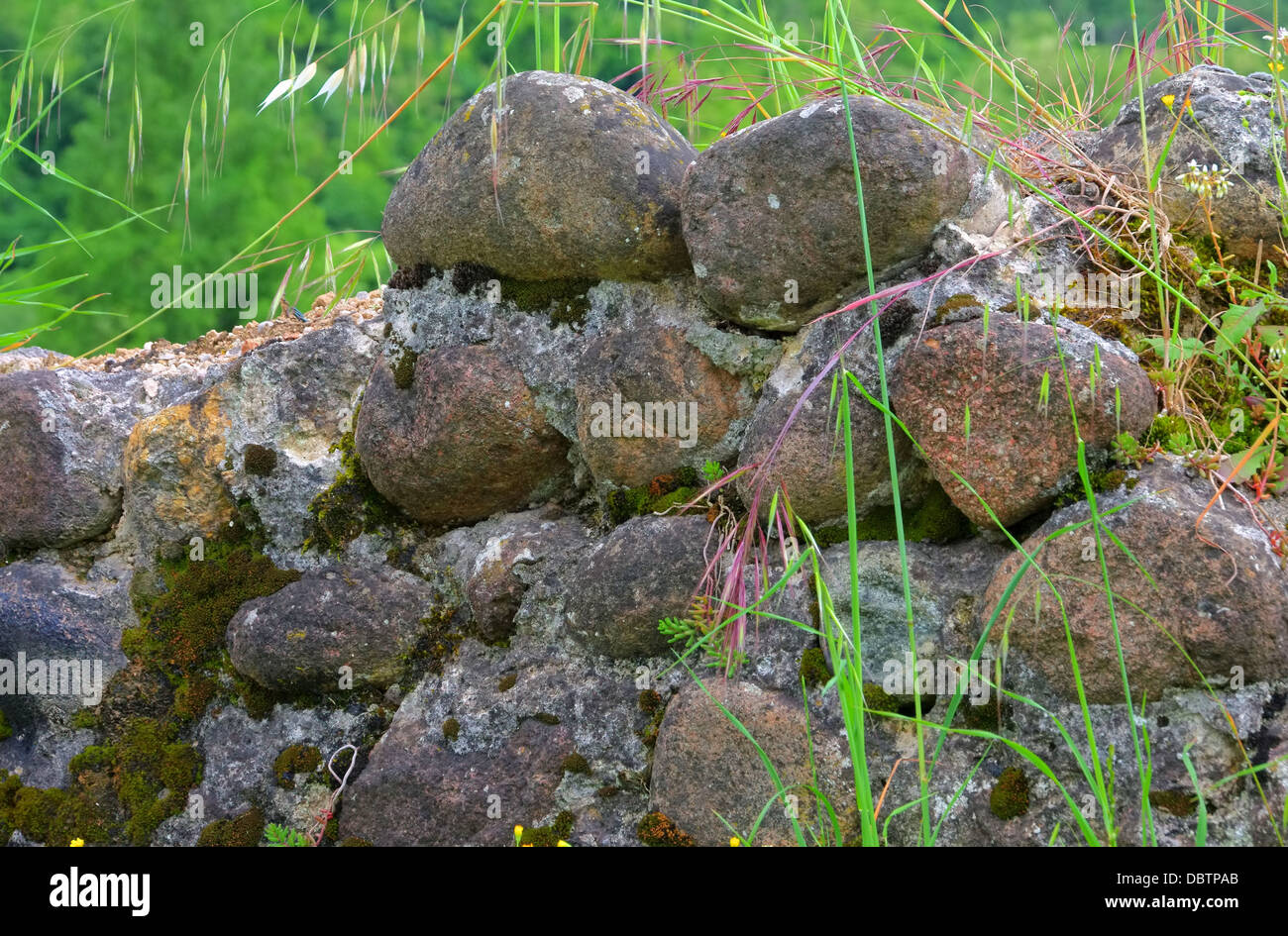 Natursteinmauer - muro di pietra naturale 04 Foto Stock