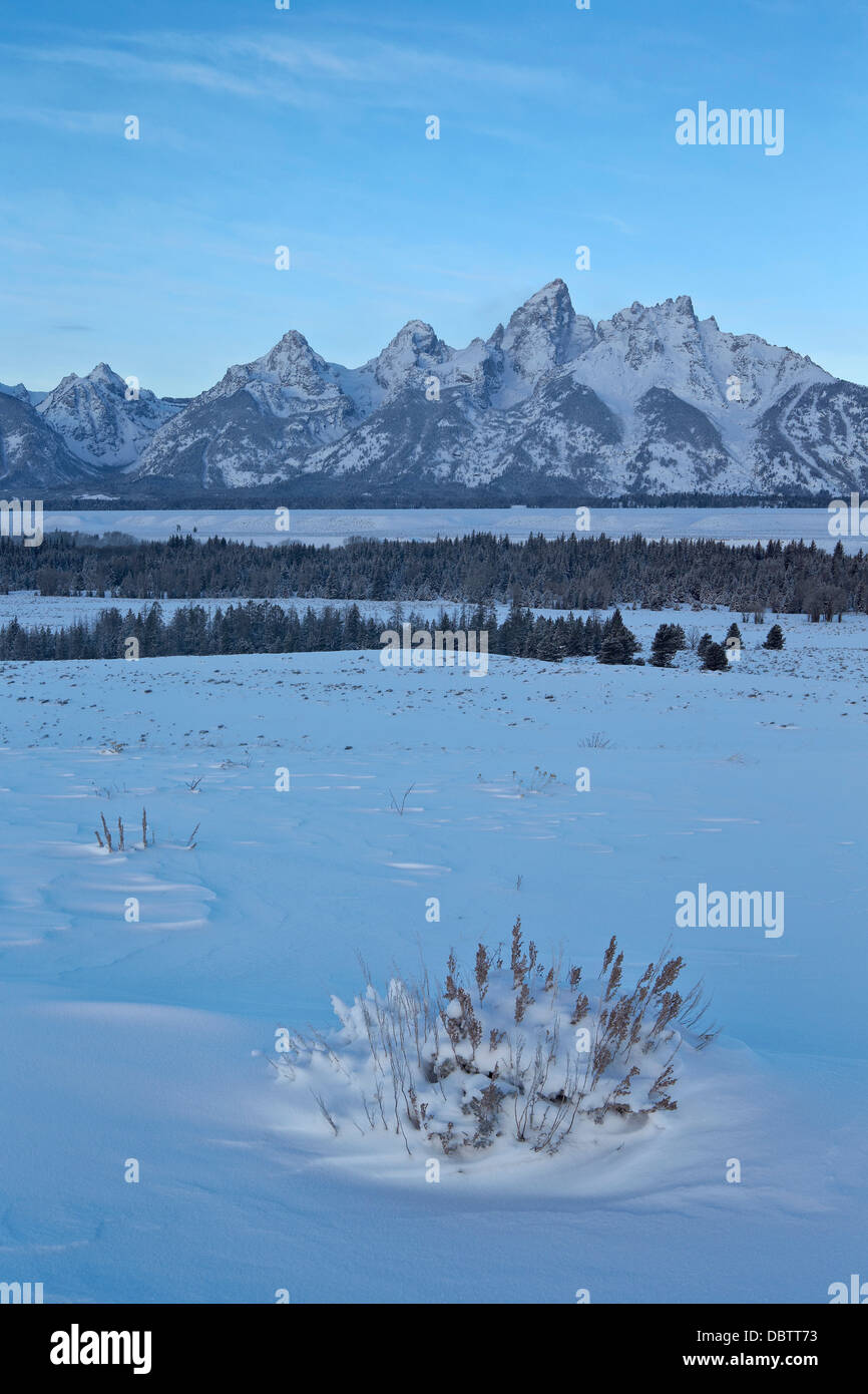 Il Tetons all'alba dopo una neve fresca, il Parco Nazionale del Grand Teton, Wyoming negli Stati Uniti d'America, America del Nord Foto Stock