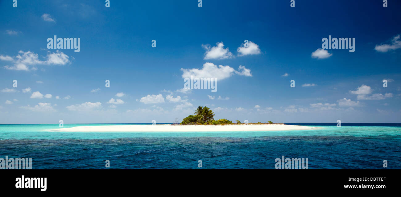 Isola tropicale, Maldive, Oceano Indiano, Asia Foto Stock