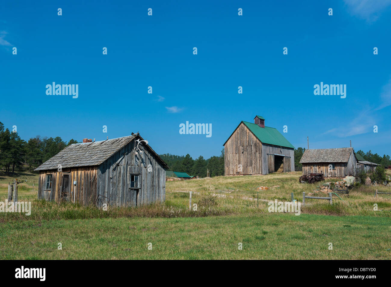 Vecchia fattoria, Black Hills, Dakota del Sud, Stati Uniti d'America, America del Nord Foto Stock