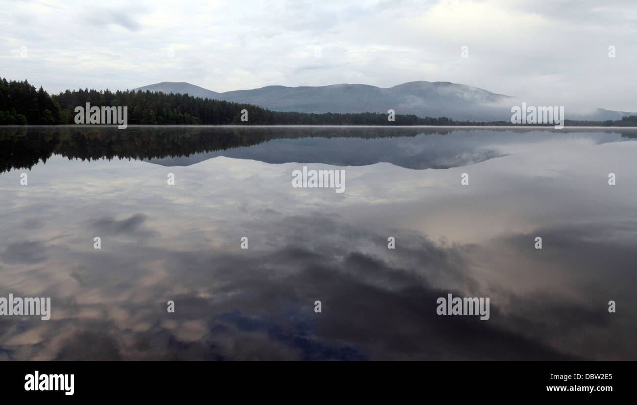 Loch garten Foto Stock