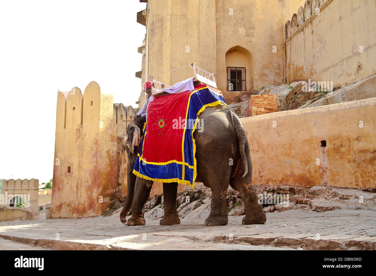 Elephant utilizzato per trasportare i turisti fino al Forte Amer in Amer Rajasthan in India Foto Stock