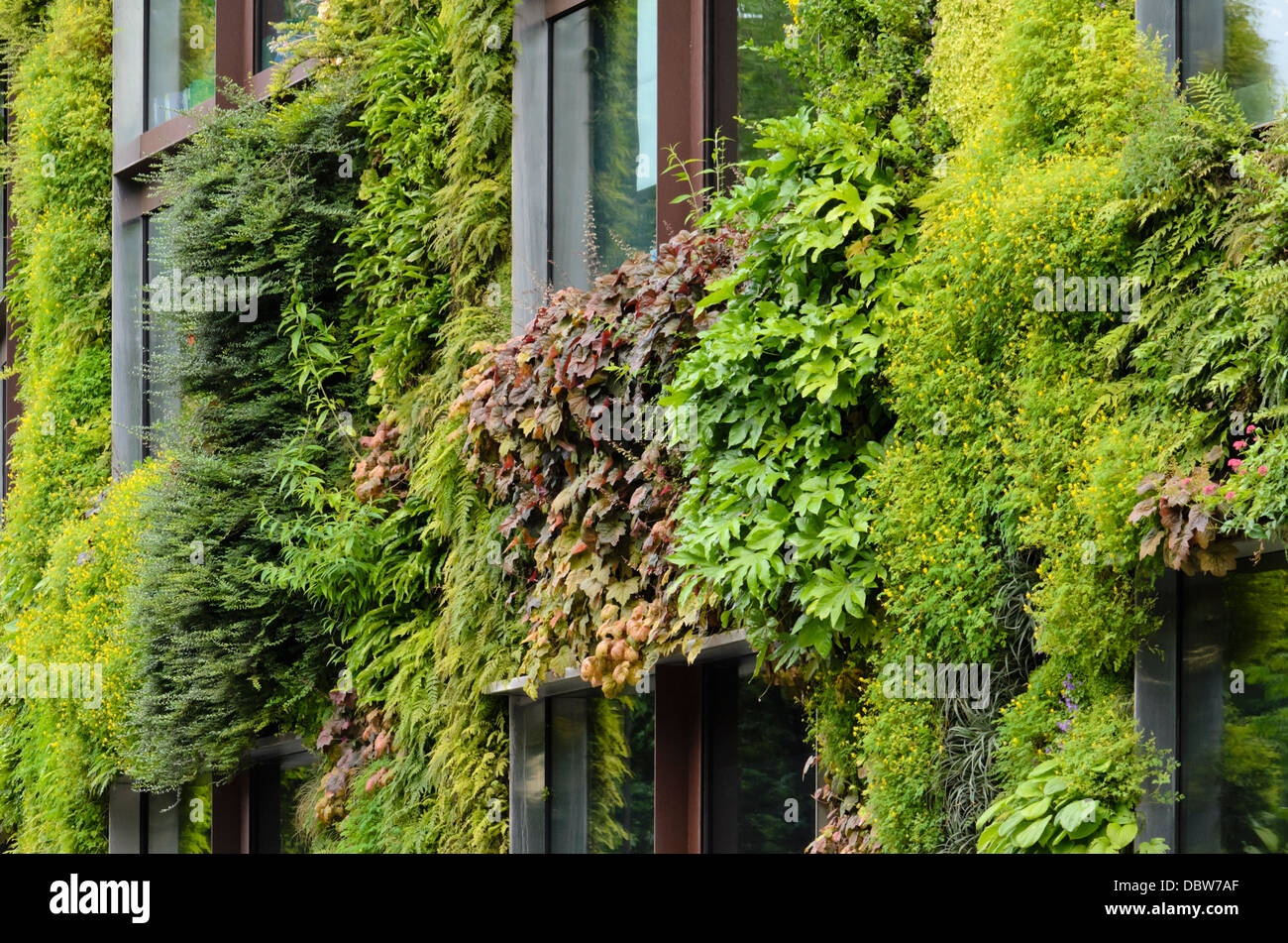 Giardino verticale, il Musée du Quai Branly, Paris, Francia. design: Patrick Blanc Foto Stock