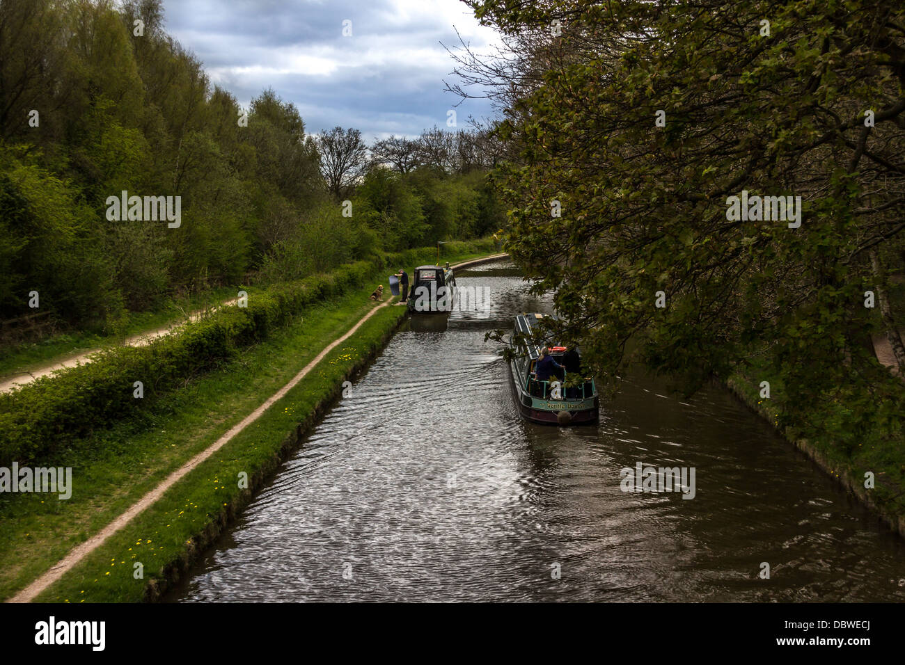Barche a lungo on Trent e Mersey Canal Foto Stock